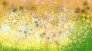 003h2-art-digital-Anne_Turlais_Secret_De_Jardin
