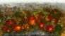 048h2-art-contemporain-Anne_Turlais_Geranium