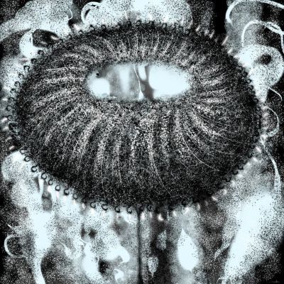 167va-art-numerique-dibond