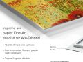 z20_067h2-art-abstrait-tableau-Causse-licot_III-Dibond-FR