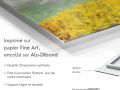 z20_084h2-art-digital-Offrance_or-Dibond-FR