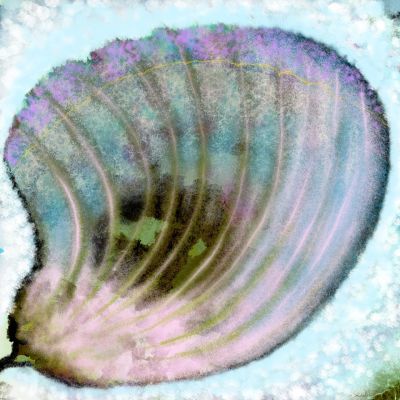 250va-galerie-d-art-en-ligne