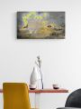 072h2-art-fleure-et-nature-Joubarbe_Ciliée-insitu-2