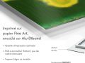 Vague_d_Amour_201_-_DESCR_-_FR_Fleur_aquatique