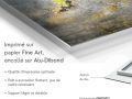 z20_072h2-art-digital-Joubarbe_Ciliee-Dibond-FR