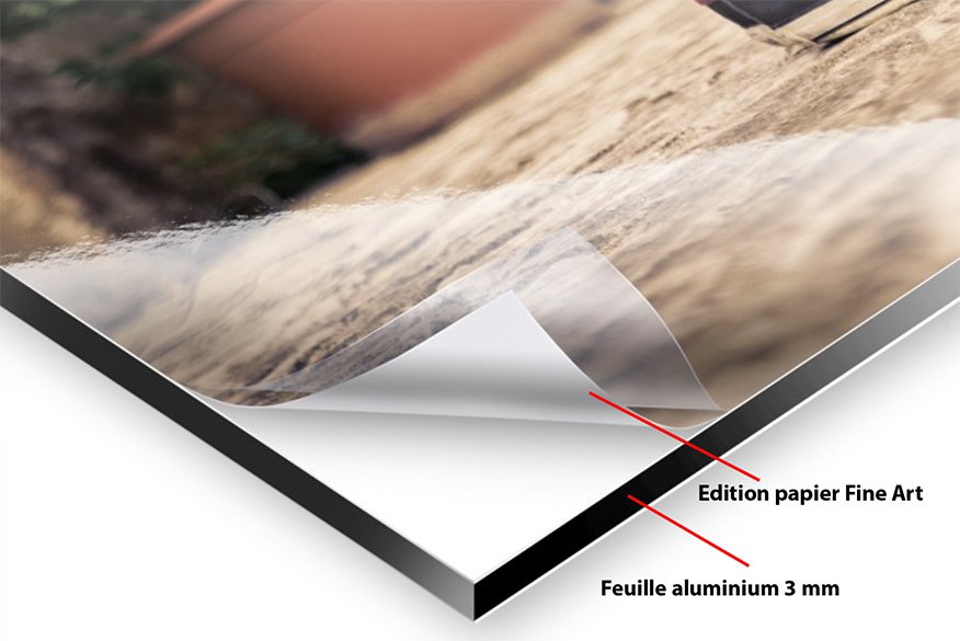 Tableau grand format portrait in situ salon