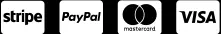 Payments systems logo