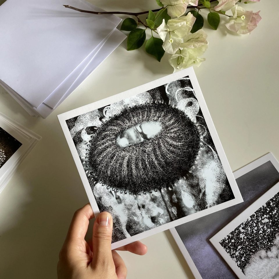 167_Carte Postale d Art-Postcard-Feu de Saint Jean