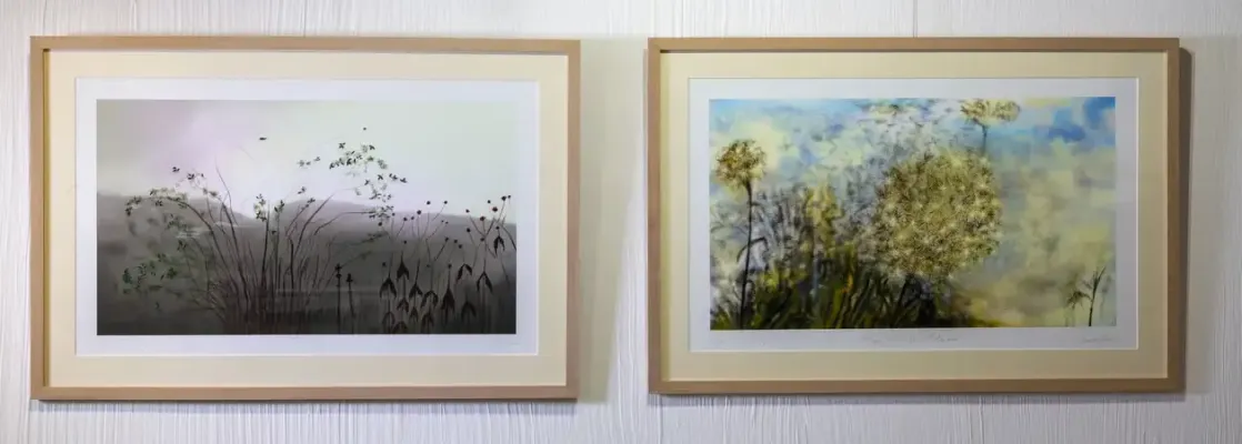 Pictures of hung paintings