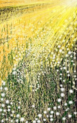 Artwork in vertical format