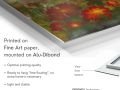 z20_048h2-art-abstrait-tableau-Geranium-Dibond-EN