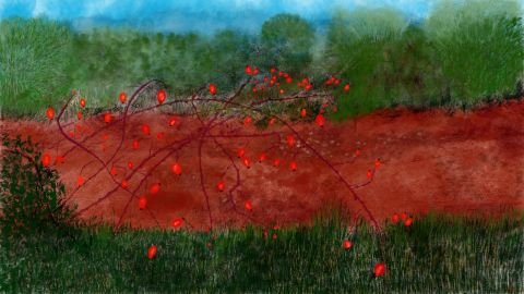 041h2-art-fleure-et-nature-Anne_Turlais_Cynorhodon