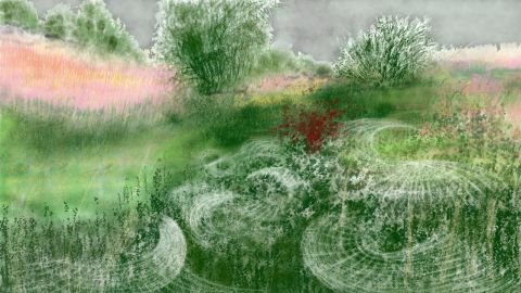 078h2-art_nature-Anne_Turlais_Fil_D_argent