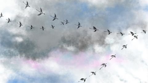 099h2-impression-sur-papier-Anne_Turlais_Vols_Migratoire