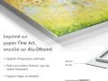 z20_003h2-art-abstrait-Secret_De_Jardin-Dibond-FR