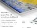 016os-impression-sur-papier-Anne-Turlais-Le-Tulipier-FR