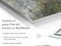 z20_043h2-art-abstrait-Asteracee-Dibond-FR
