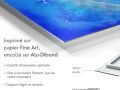 z20_049h2-art-fleure-et-nature-Alliance_21-Dibond-FR