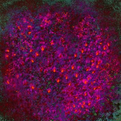 335va-art-numerique-dibond