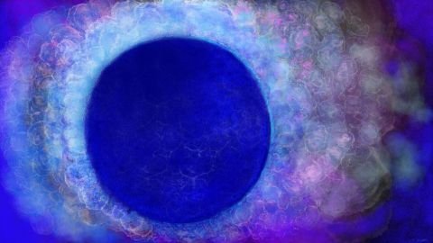 016h2-art_nature-Anne_Turlais_Elle_Respire