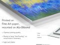 z20_018h2-oeuvre-d-art-Bleuet-Dibond-EN