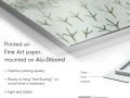z20_093h2-art-fleure-et-nature-Traces-Dibond-EN