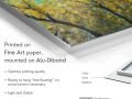 z20_042h2-oeuvre-d-art-Tilleul_Japonais-Dibond-EN