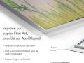 010os-art-fleure-et-nature-Anne-Turlais-Ombellifere-FR