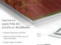 025os-galerie-art-Anne-Turlais-Terre-Interieure-FR