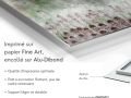 029os-art-fleure-et-nature-Anne-Turlais-Asphodele-FR
