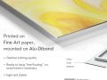 z20_010h2-oeuvre-d-art-Au_Coeur_II-Dibond-EN