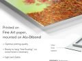 z20_017h2-art_nature-Causselicot-Dibond-EN