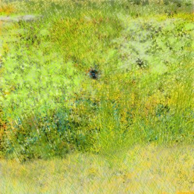 Vague_d_Amour_107-b_Voilage_Naissant