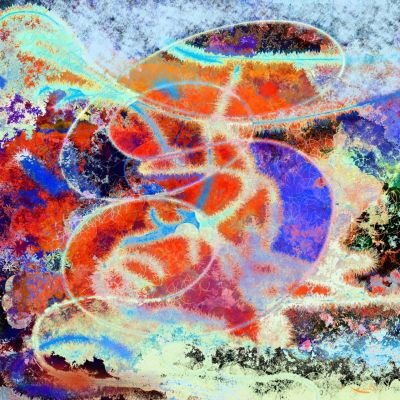 178va-galerie-d-art-en-ligne