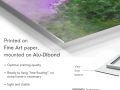 z20_057h2-art_nature-Violettes-Dibond-EN
