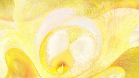 010h2-galerie-d-art-en-ligne-Anne_Turlais_Au_Coeur_II