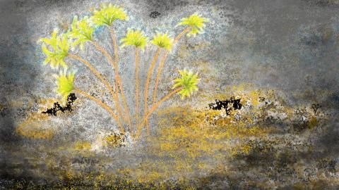 072h2-galerie-d-art-en-ligne-Anne_Turlais_Joubarbe_Ciliee