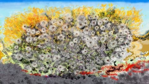 082h2-art-fleure-et-nature-Anne_Turlais_Clematite_Sauvage