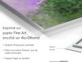 z20_057h2-art-fleure-et-nature-Violettes-Dibond-FR