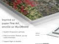 017os-art-abstrait-tableau-Anne-Turlais-Pistachier-Terebinthe-FR