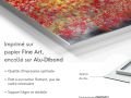z20_028h2-art-fleure-et-nature-Pistachier-Dibond-FR