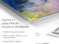 157va-galerie-art-FR