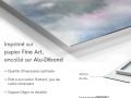 z20_099h2-art-digital-Vols_Migratoires-Dibond-F
