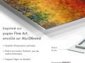 323va-galerie-d-art-en-ligne-FR