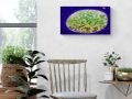 007h2-galerie-d-art-en-ligne-Goutte_D_eau-insitu-5