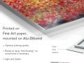 z20_028h2-art_nature-Pistachier-Dibond-EN