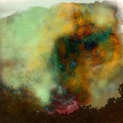 316va-art-fleure-et-nature