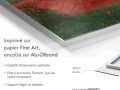 z20_041h2-art-fleure-et-nature-Cynorhodon-Dibond-FR