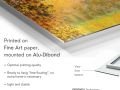 z20_036h2-art-contemporain-Feu-Dibond-E