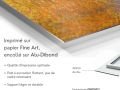 z20_086h2-art-contemporain-Fauve-Dibond-FR